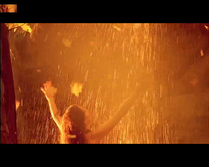 Anna Geislerov – wild flowers