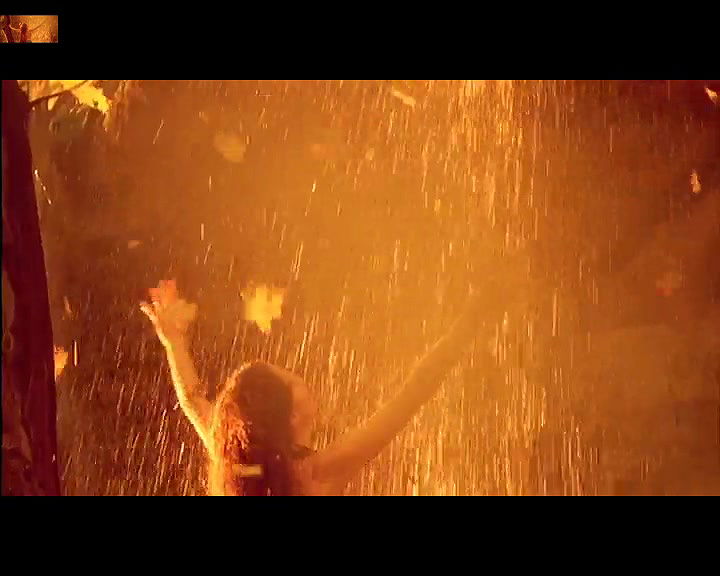 Anna Geislerov – wild flowers