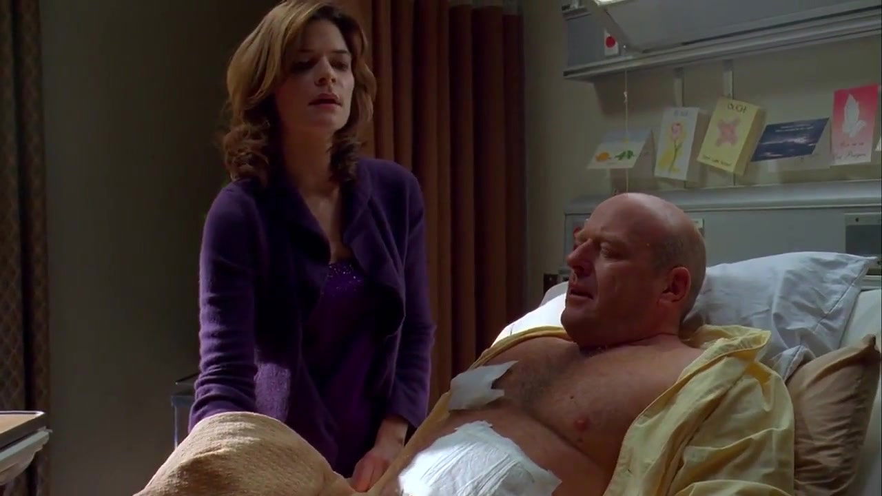 Anna Gunn – Breaking Bad