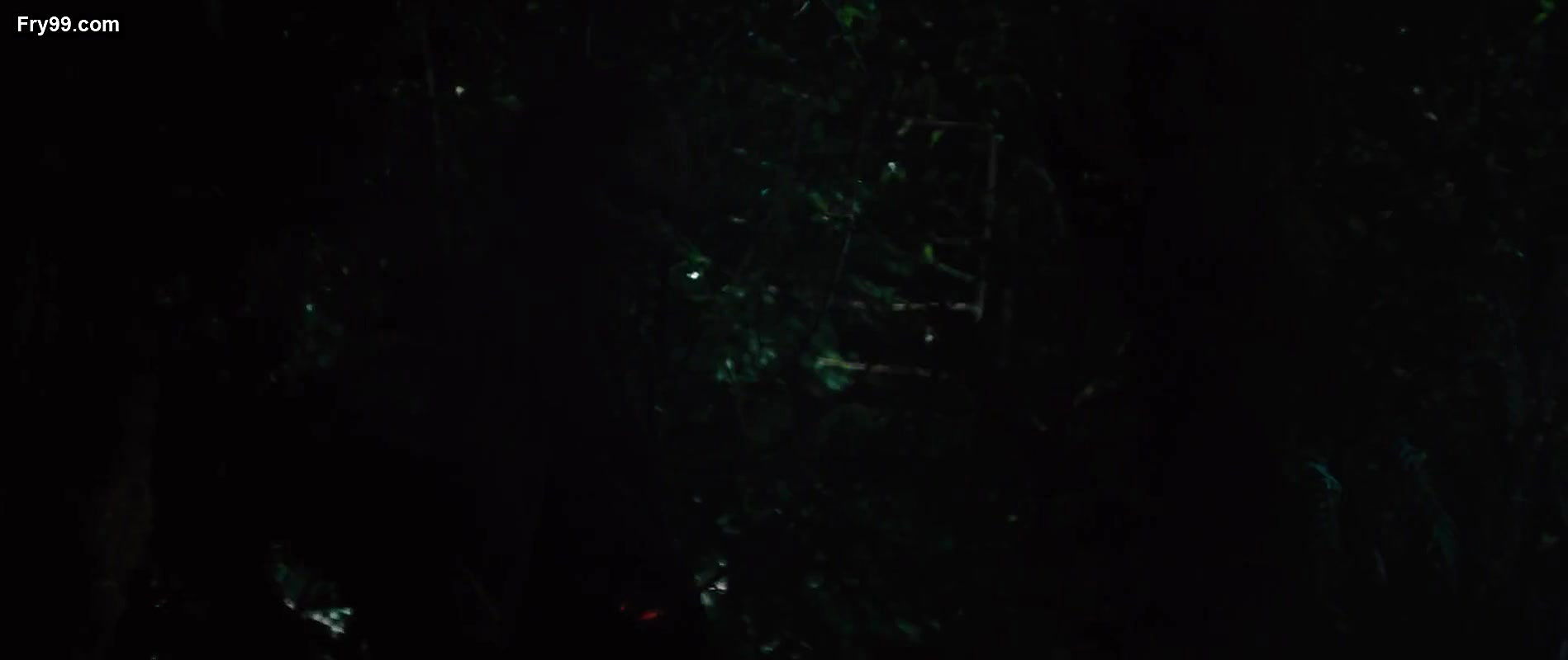 Anna Hutchinson – The Cabin in the Woods