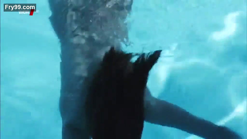 Anne Ratte Polle – Tatort