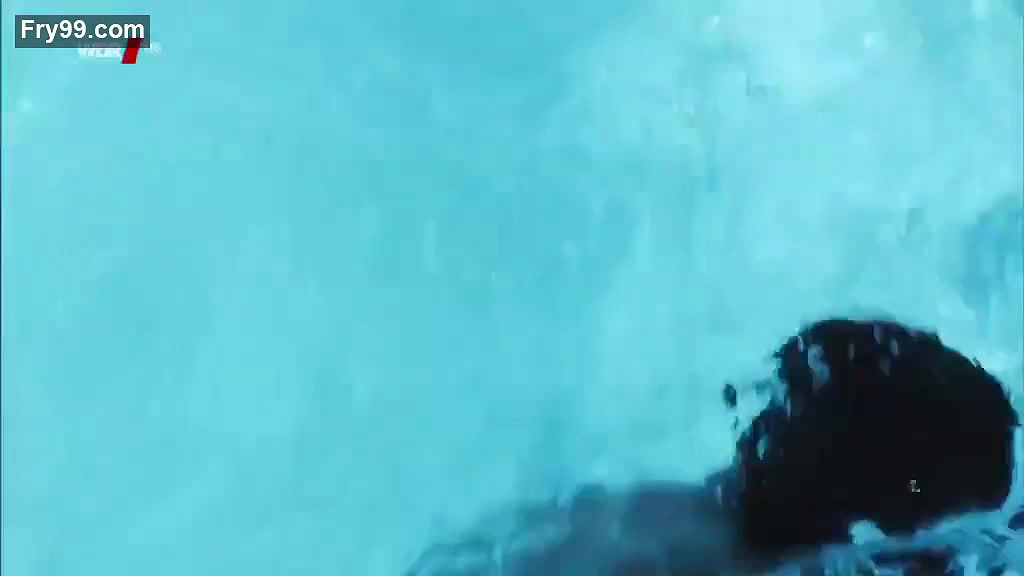 Anne Ratte Polle – Tatort