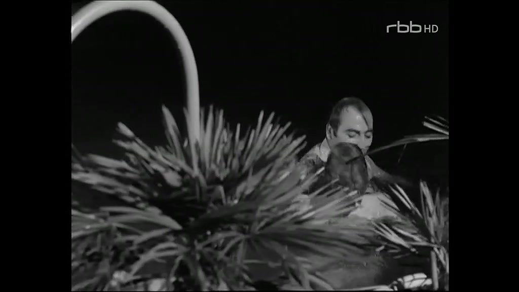 Annekathrin B – Polizeiruf 110