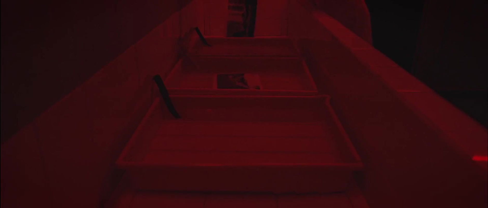 nnick weerts – exposure 2015