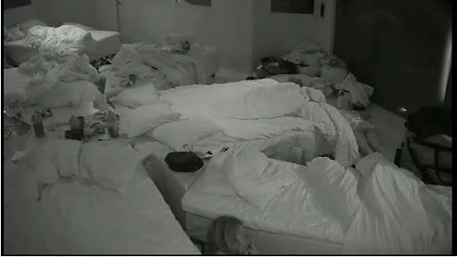 anniina mustajarvi – big brother finland