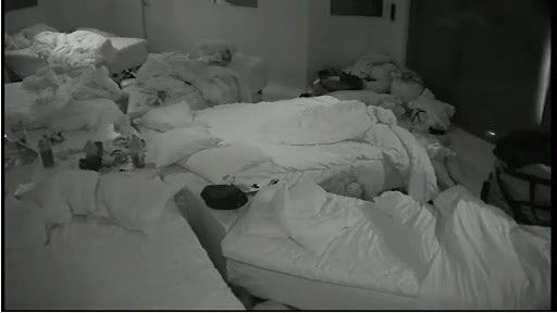 anniina mustajarvi – big brother finland