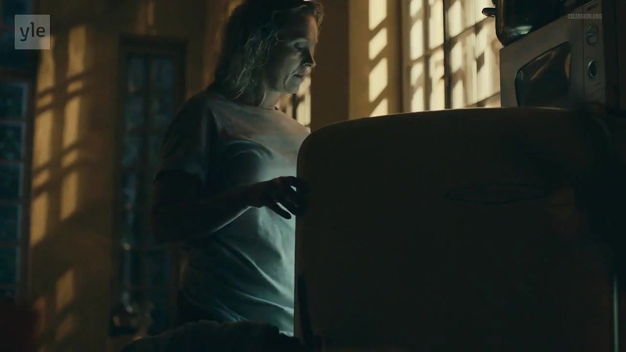 Anu Sinisalo – bordertown