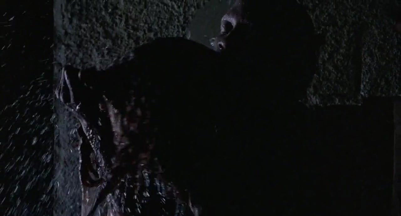 Anya Sartor – Wild Orchid