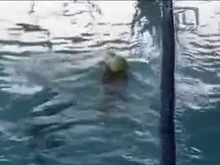 Aracely Arambula – El Alma no tiene color