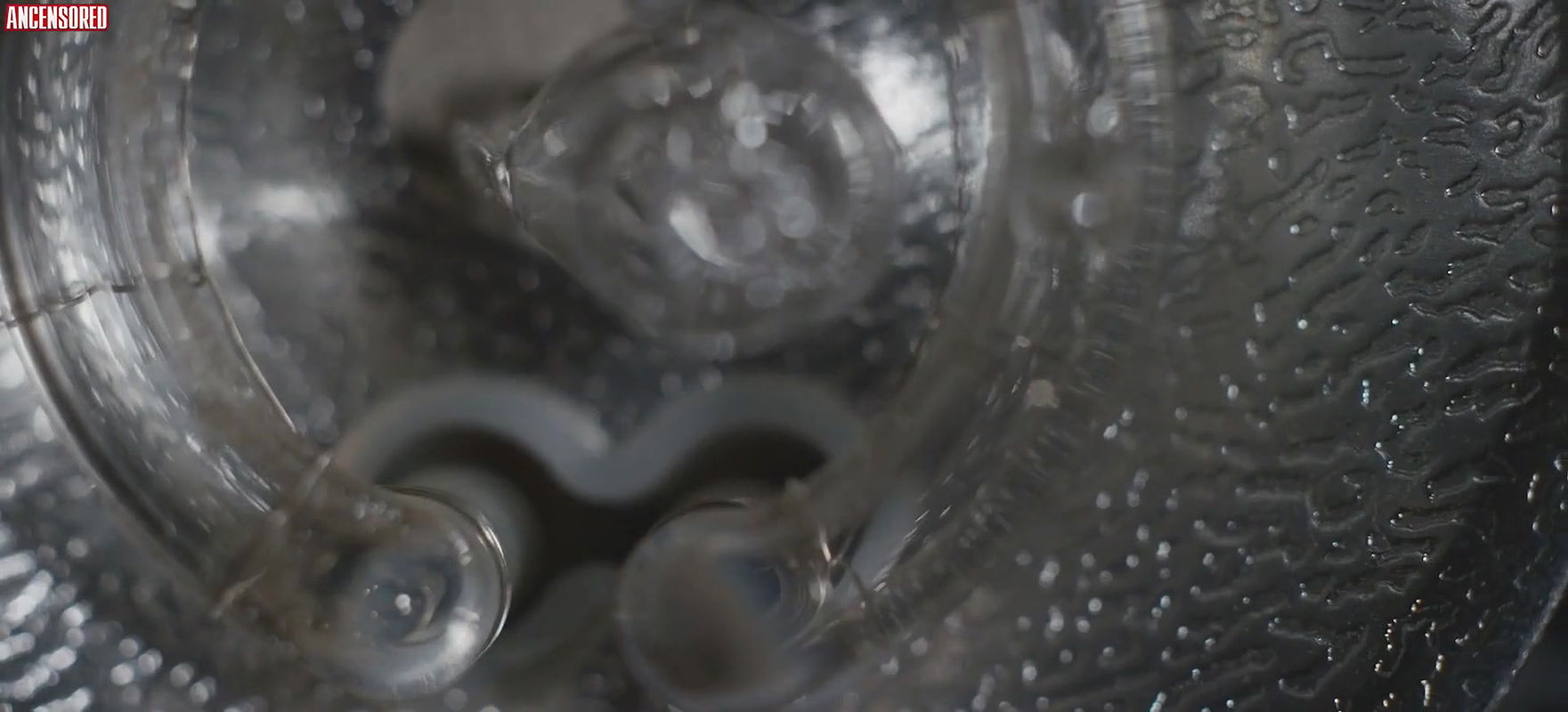 arely reyes – patricia secretos de una pasion