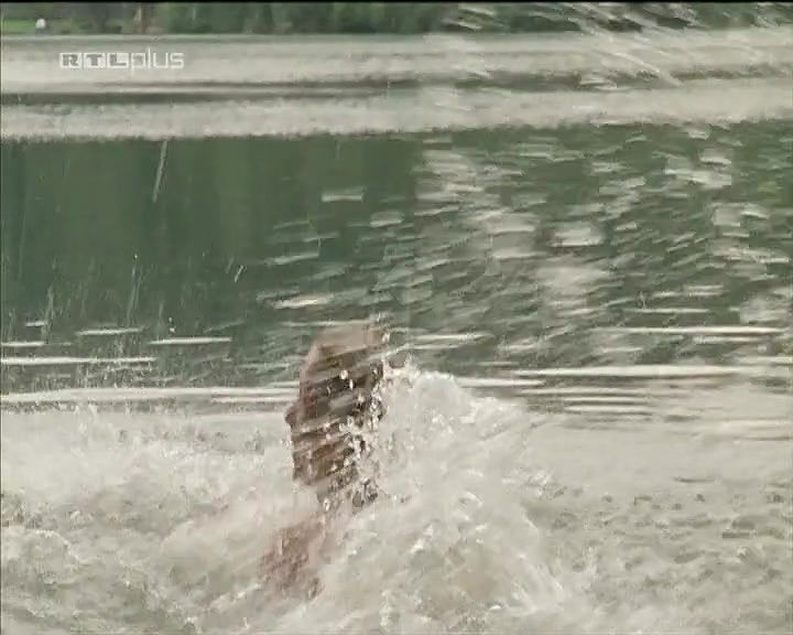 Astrid Lubbe – Dr Stefan Frank