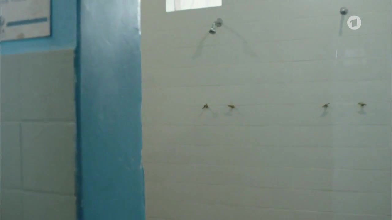 athena strates – aufbruch ins ungewisse