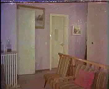 aynur akarsu – horoz gibi masallah