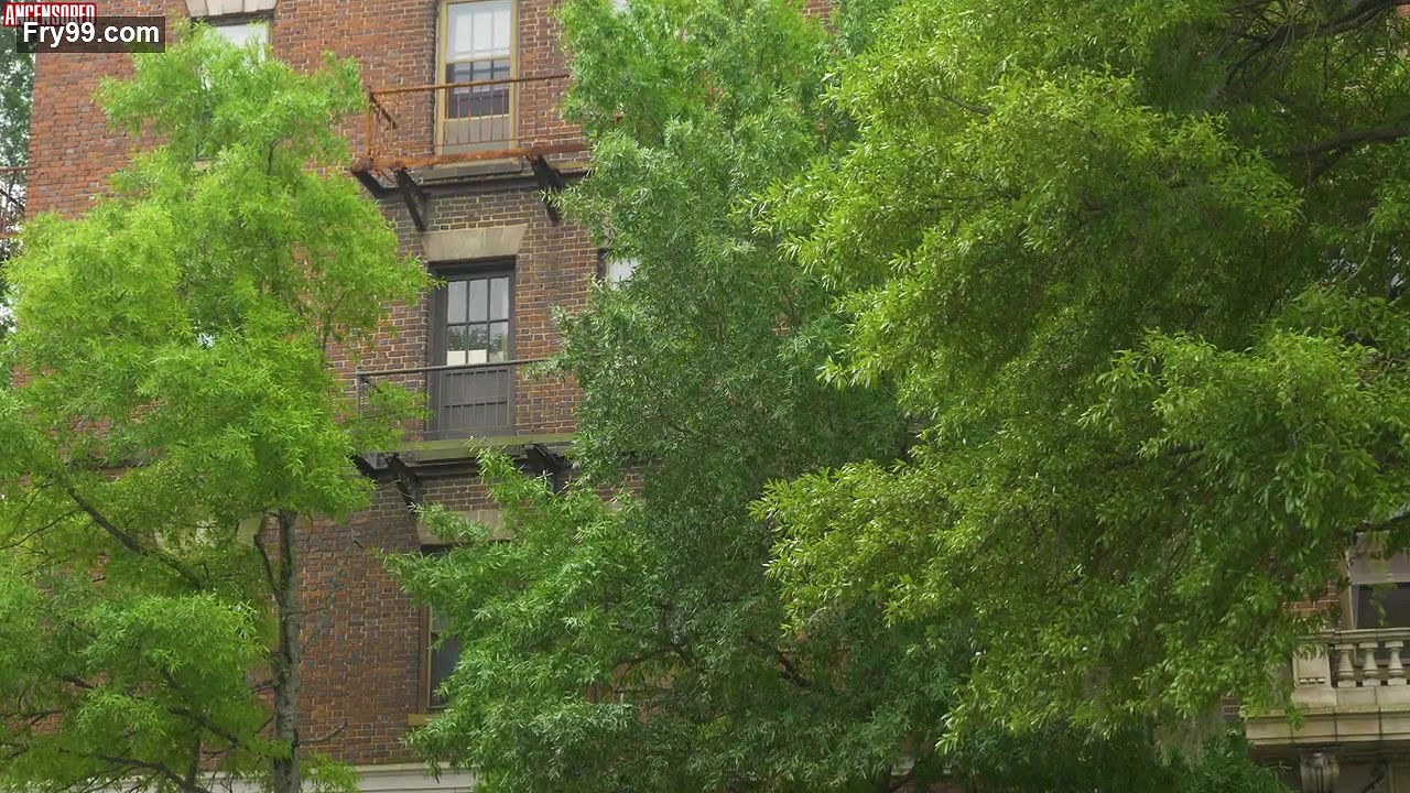 b simone – ray jrs rent due