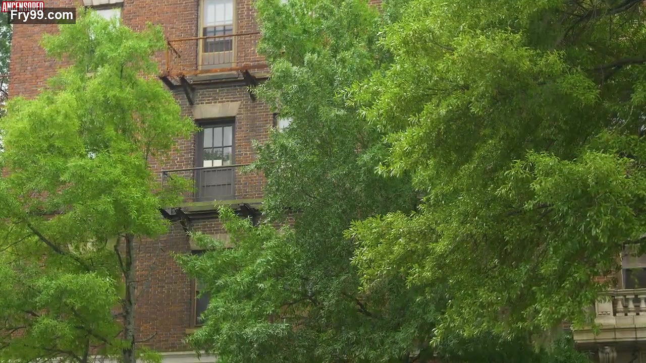 b simone – ray jrs rent due