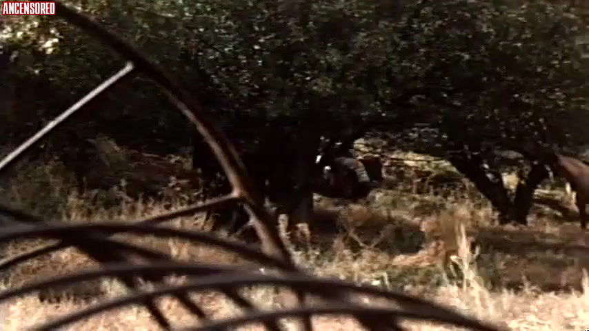 barbara bourbon – a dirty western