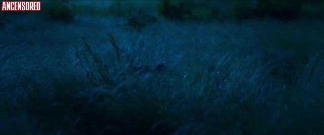 barbara colen – bacurau