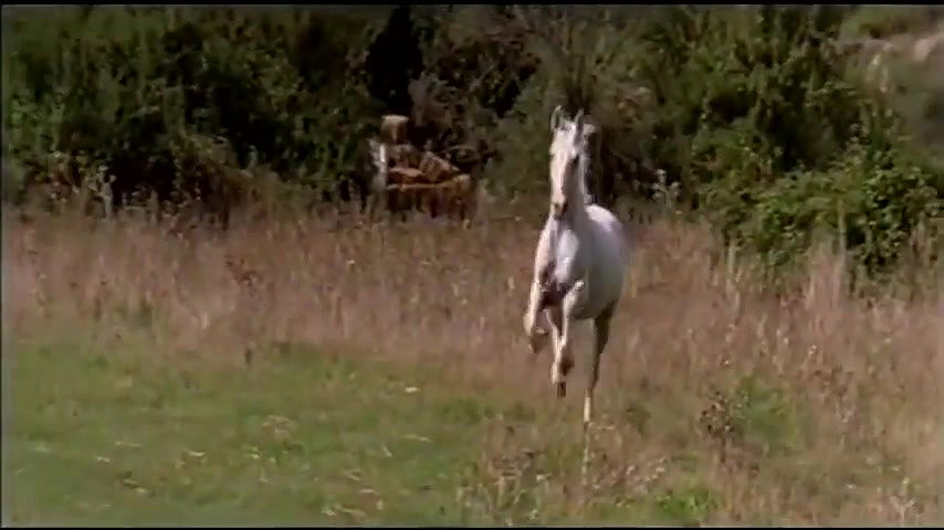 Barbara Marzano – come fu che masuccio salernitano