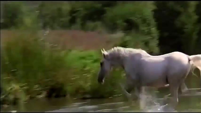 Barbara Marzano – come fu che masuccio salernitano