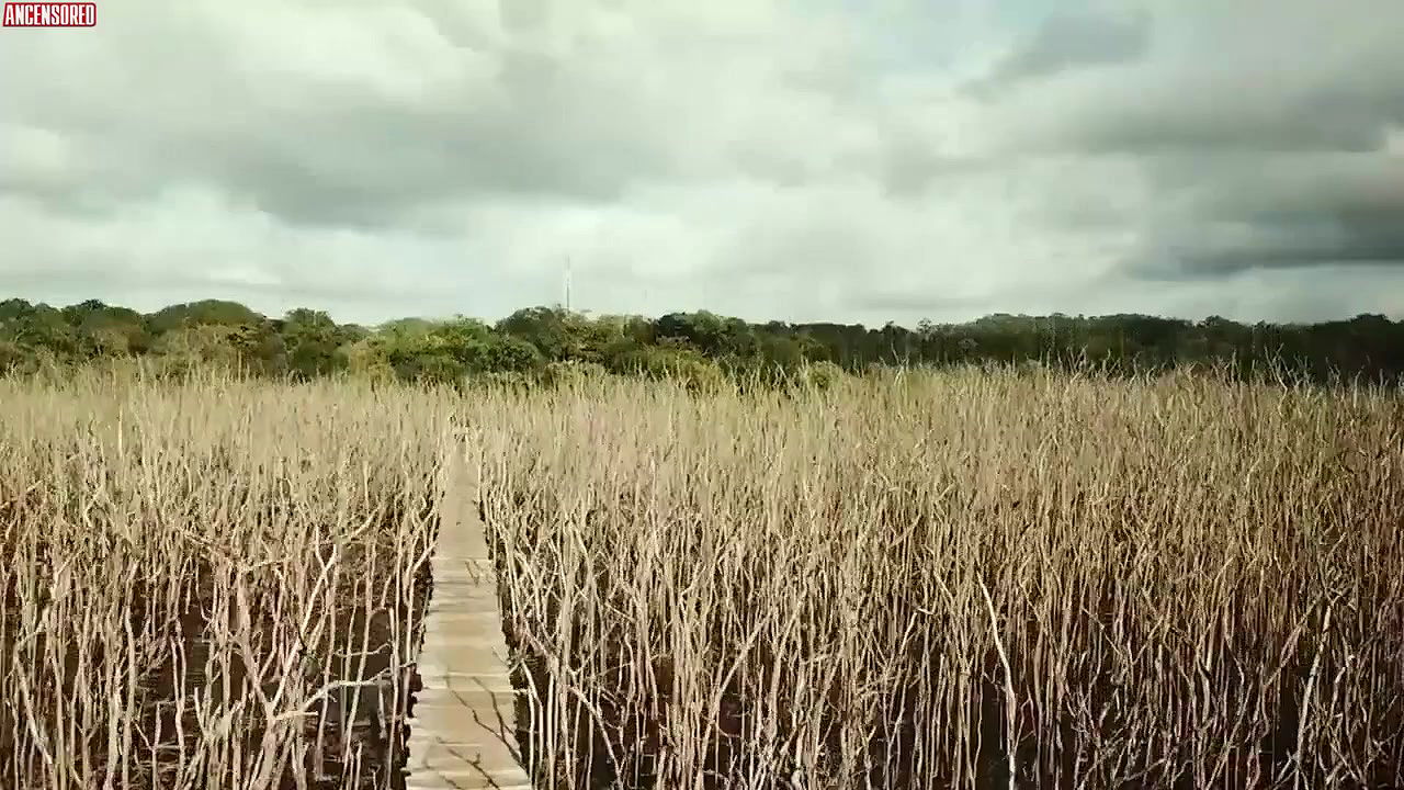 Barbara Palvin – sports illustrated swimsuit 2019