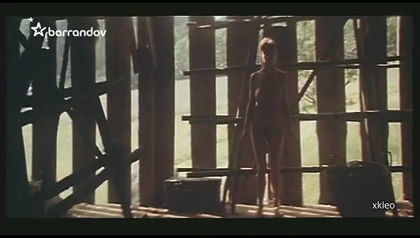 barbora stepanova – pytlaci