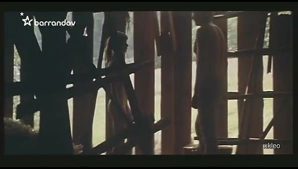 barbora stepanova – pytlaci