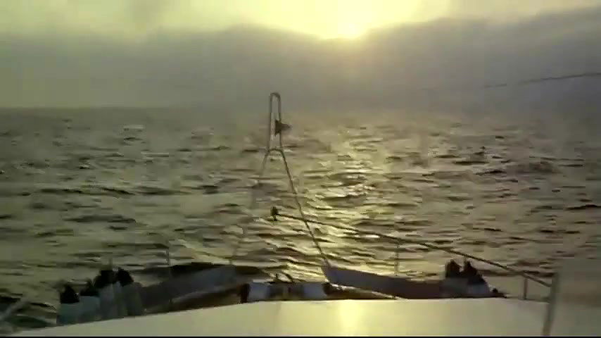 Bea Fiedler – Summer Night Fever