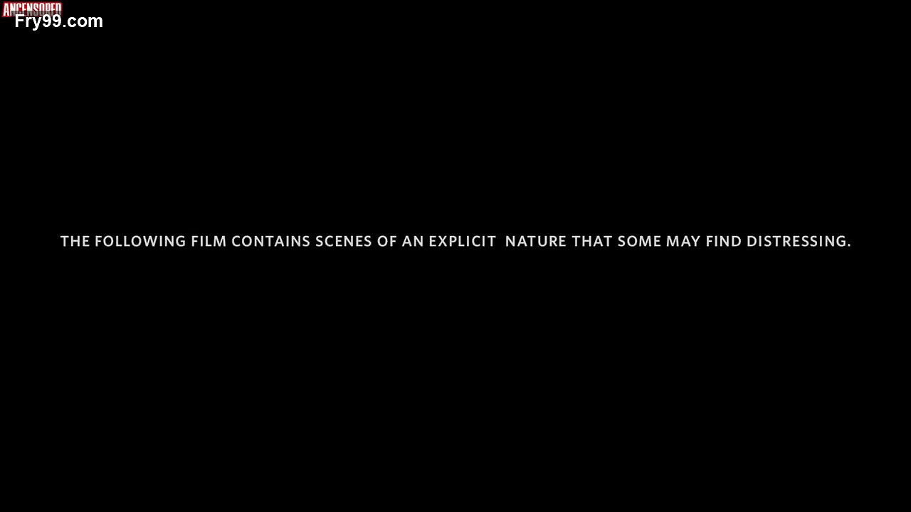 betsy holt – animals 2014