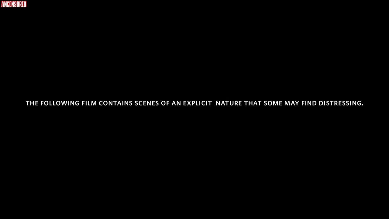 betsy holt – animals 2014