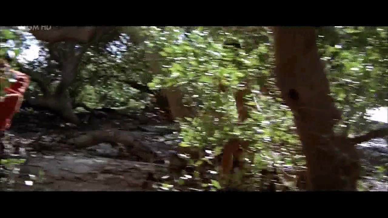 Beverly Johnson – Ashanti