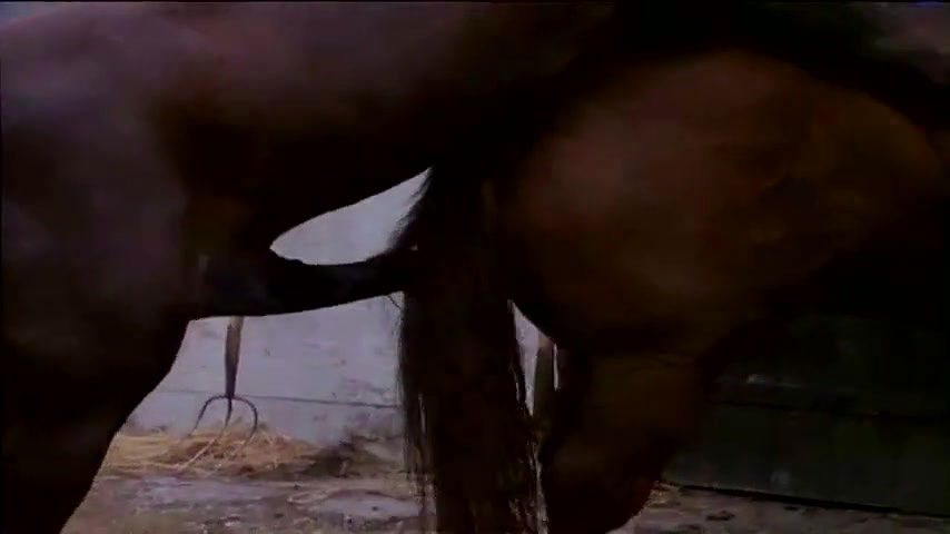 Birgit Buschak – Liebesgr