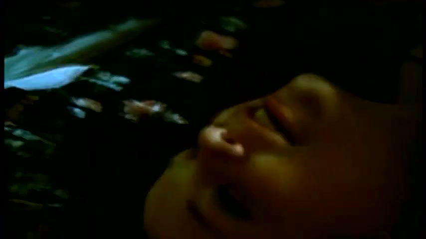 Birgit Tetzlaff – Virgin Report