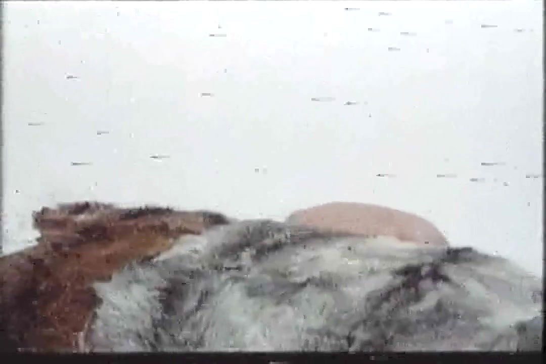 Blanca Estrada – dios bendiga cada rincon de esta casa