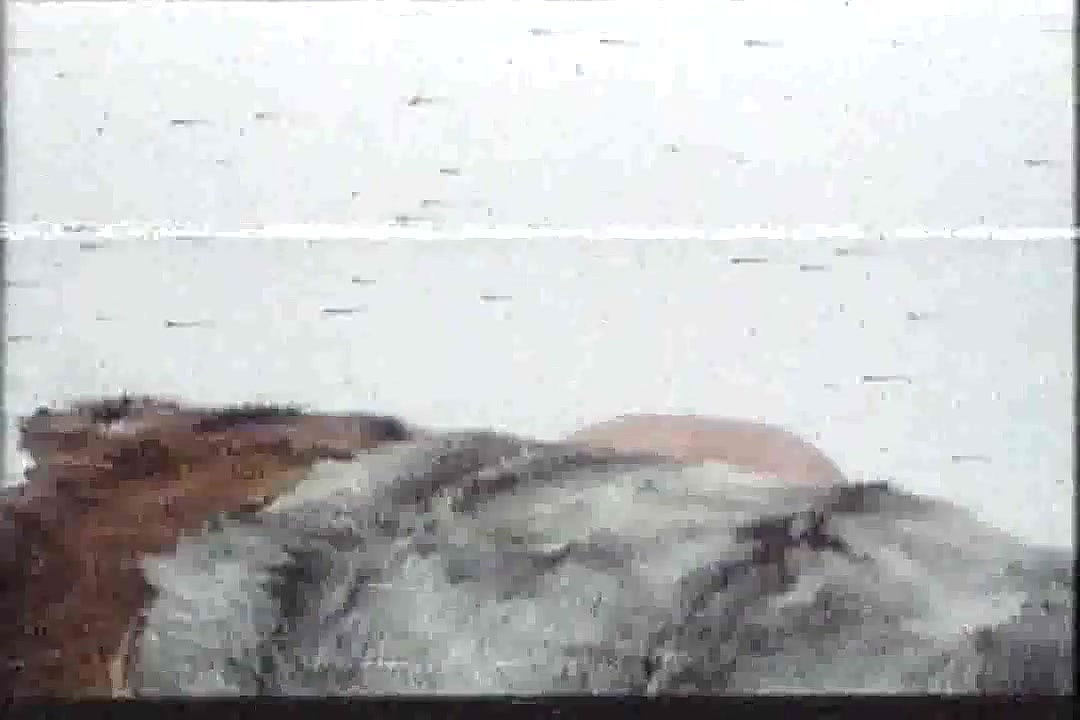 Blanca Estrada – dios bendiga cada rincon de esta casa