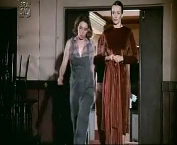 branca de camargo – As Feras