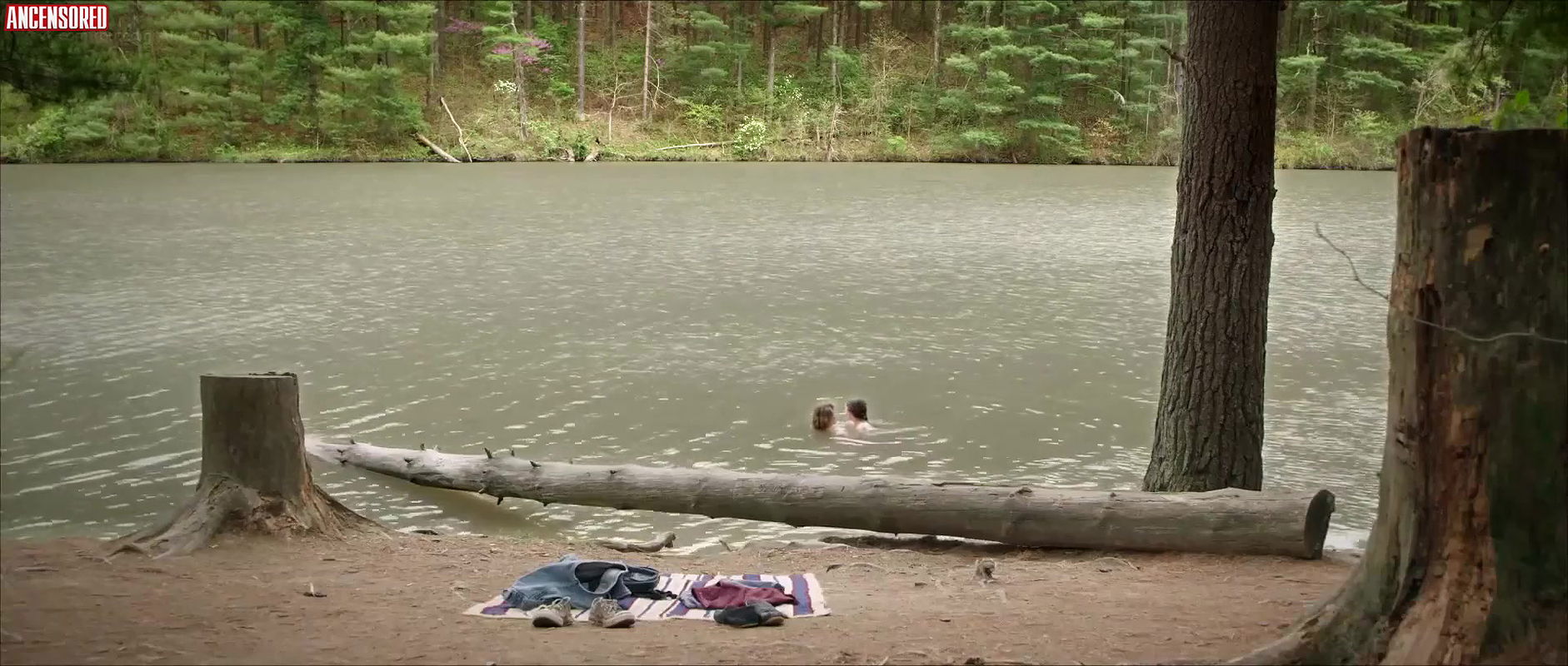 bri mccabe – pine cove