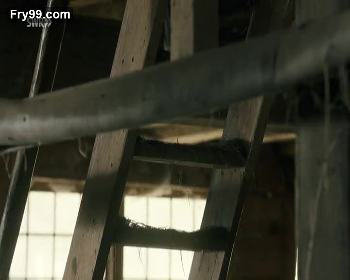 Brigitte Hobmeier – closed season