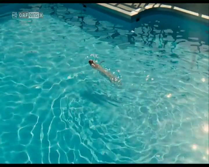 Brigitte Hobmeier – Weisse Lilien