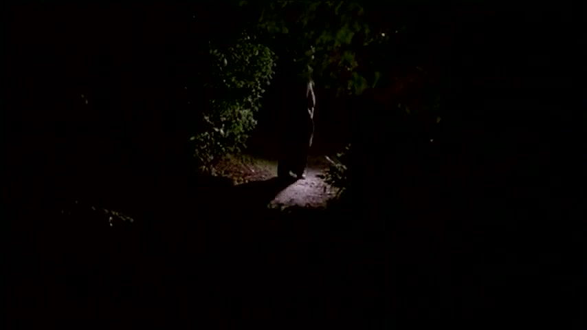 Brigitte Lahaie – je suis a prendre