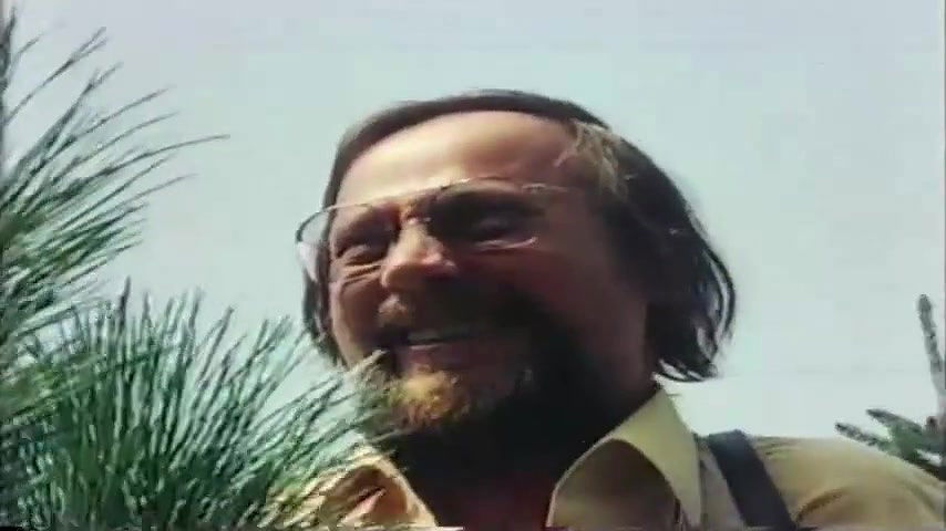 Britt Corvin – palmen meer und nasse grotten