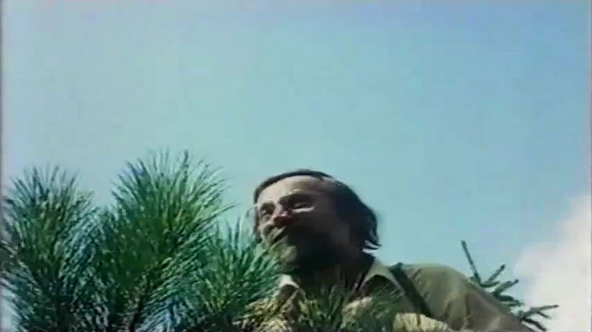 Britt Corvin – palmen meer und nasse grotten