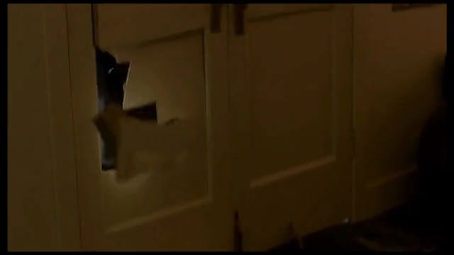 Busty Heart – The Dictator