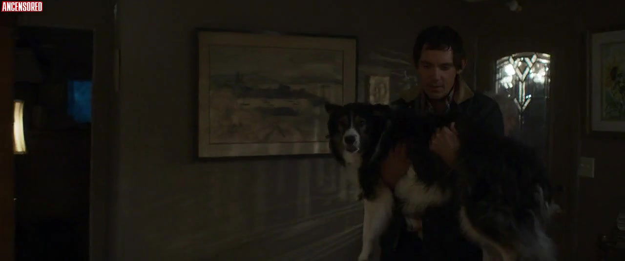 caitlin carmichael – midnight in the switchgrass