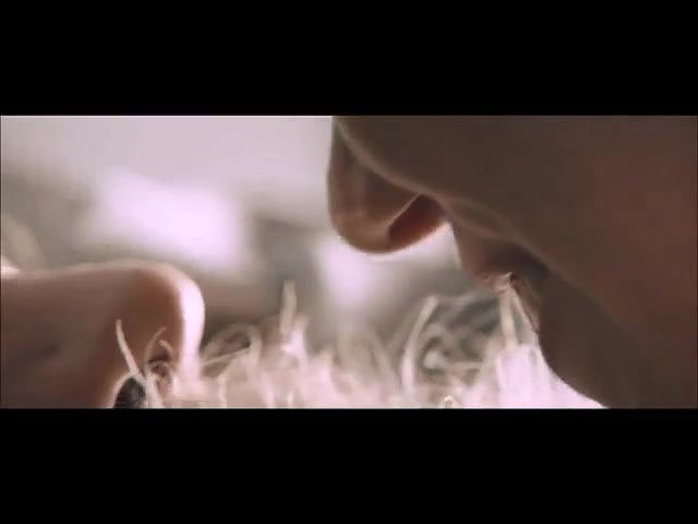 Camilla Cornelia Lehmann – Sex Drugs Taxation