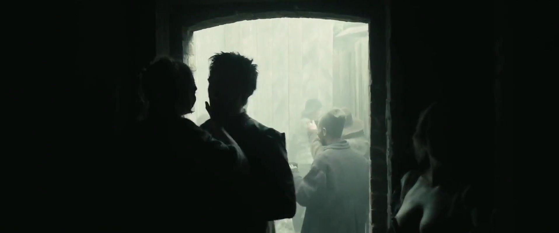 Cara deLevingne – tulip fever