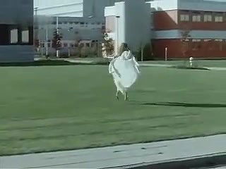 Carline Seiser – Die Hamburger Krankheit