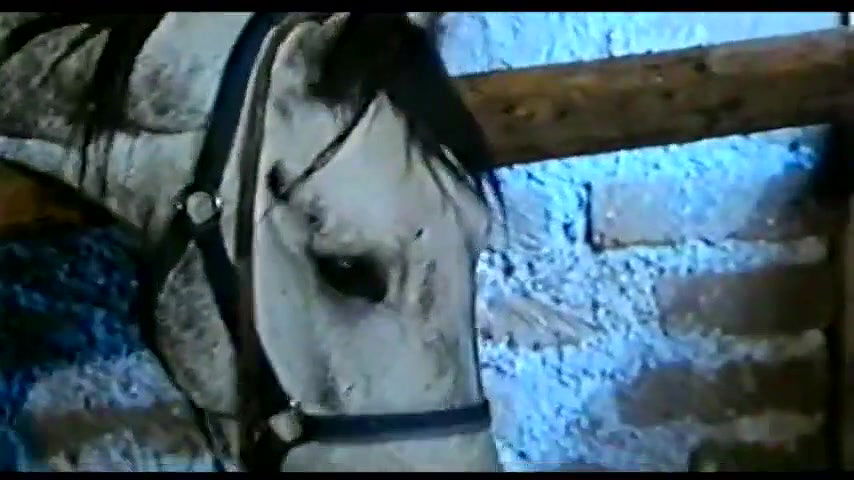 carlotta – il capriccio di paola