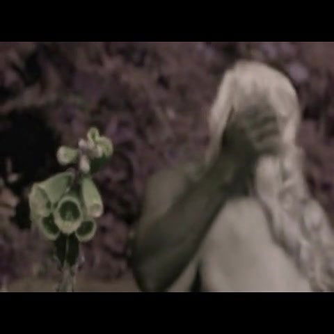 carly kingston – devils of war