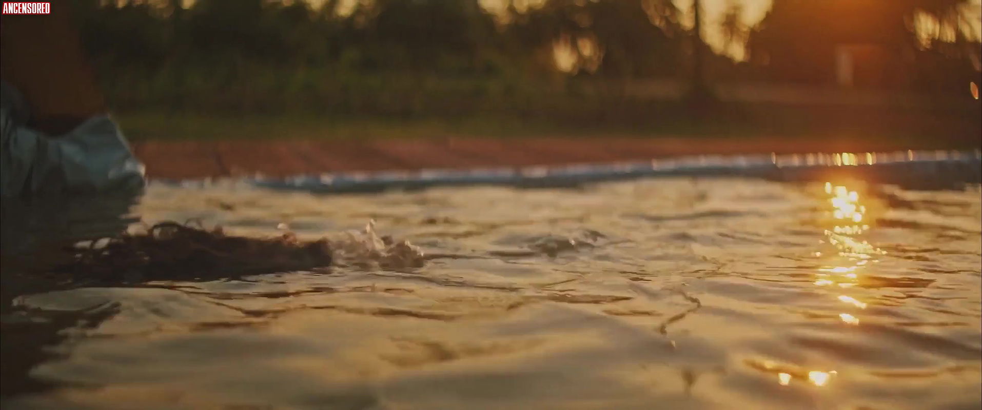 Carol Abras – rodantes