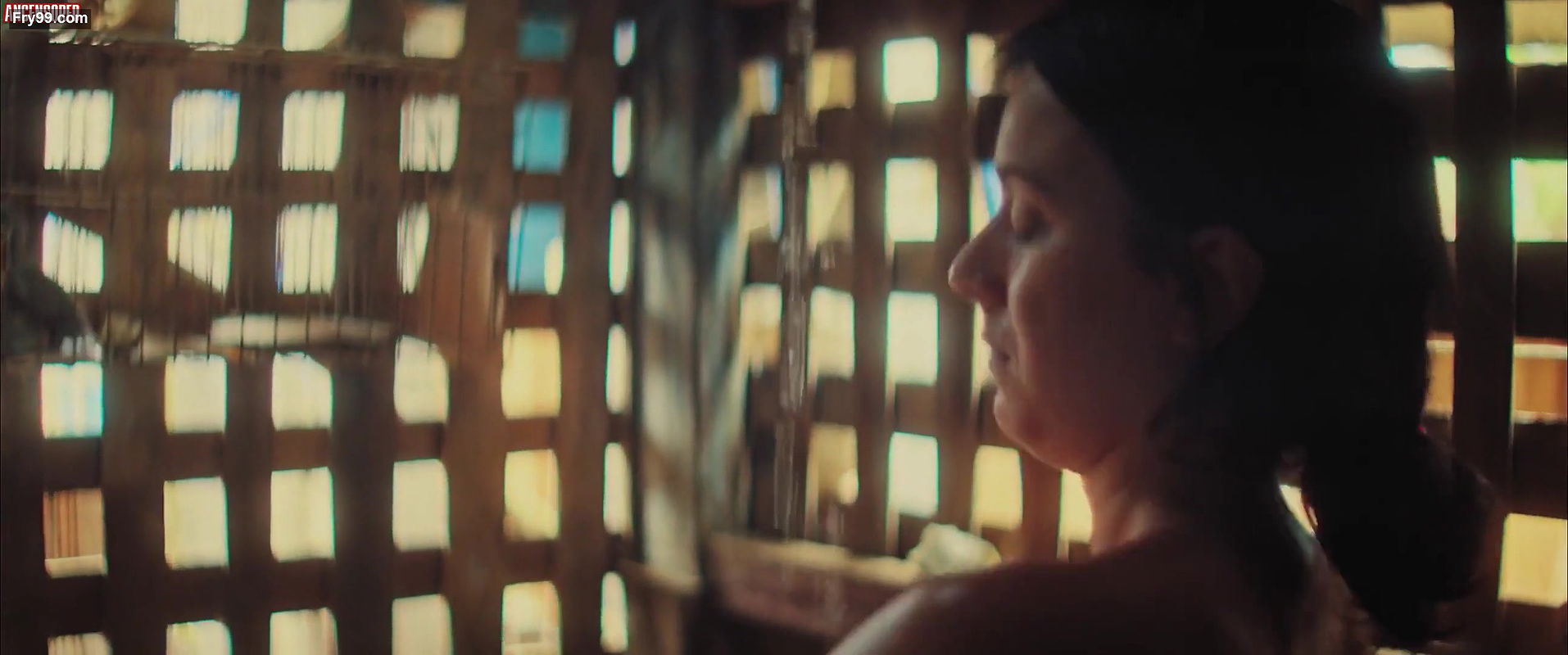 Carol Abras – rodantes